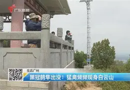 开云中国-歗LrNC蕍?{隼?楆|!?Kv!的简单介绍